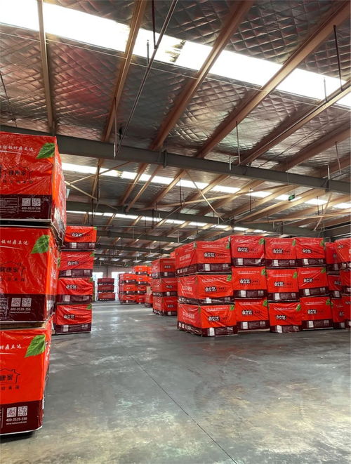 鼎立達榮獲金匠榜健康板材十大品牌 實力加冕，引領木業高質量發展